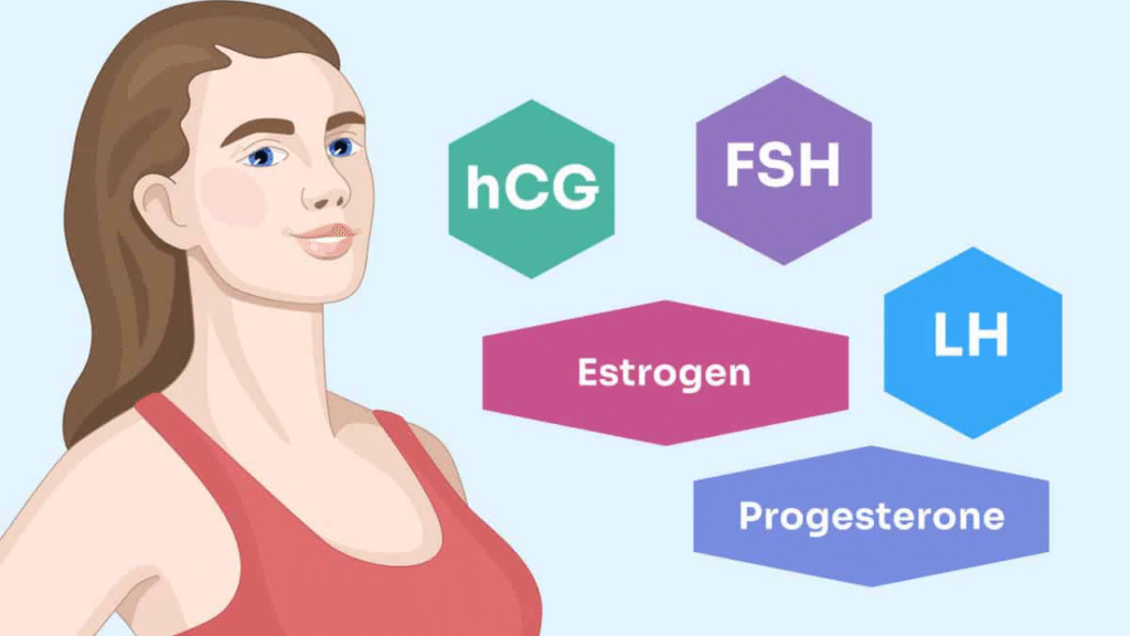 Hormones Health