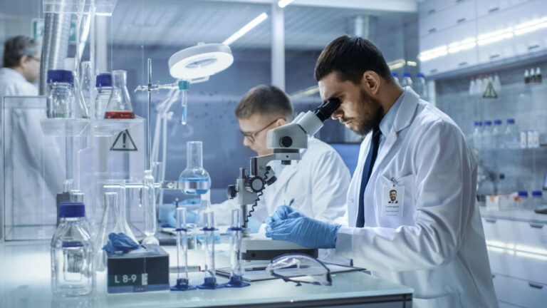 lab
