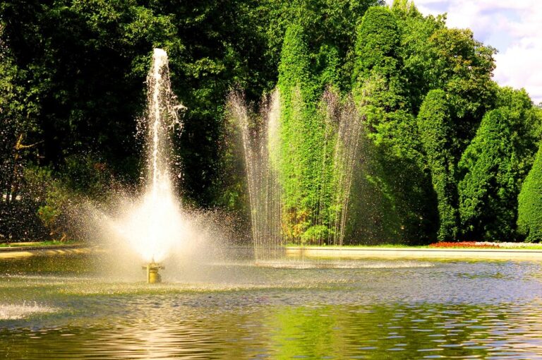 nice-fountain-with-leafy-trees-background_1160-297