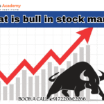 what is bull in stock market_