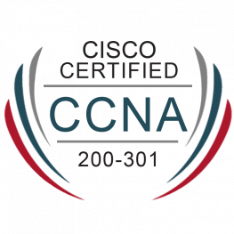 Online CCNA Training in Dubai