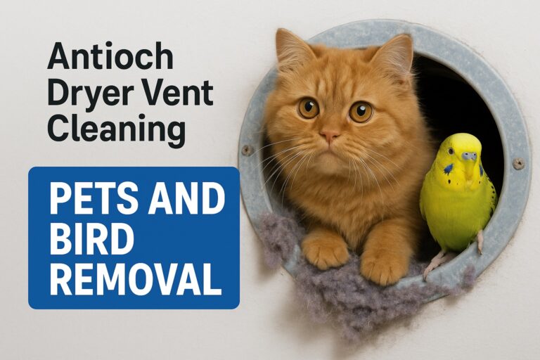 Dryer Vent Cleaning