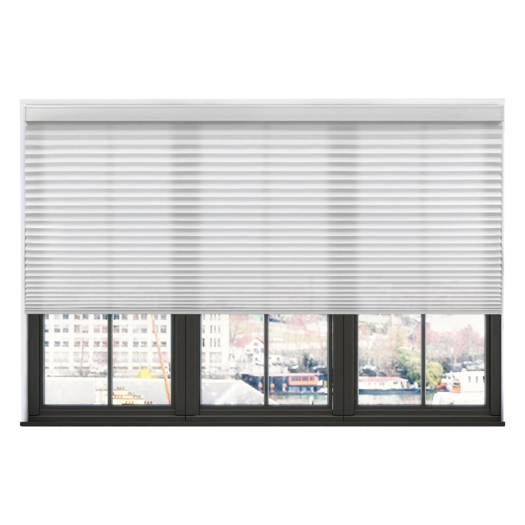 Blinds Company Near Me Hamilton | Stylish & Affordable Window Blinds