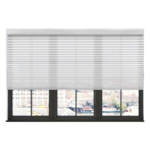 Blinds Company Near Me Hamilton | Stylish & Affordable Window Blinds