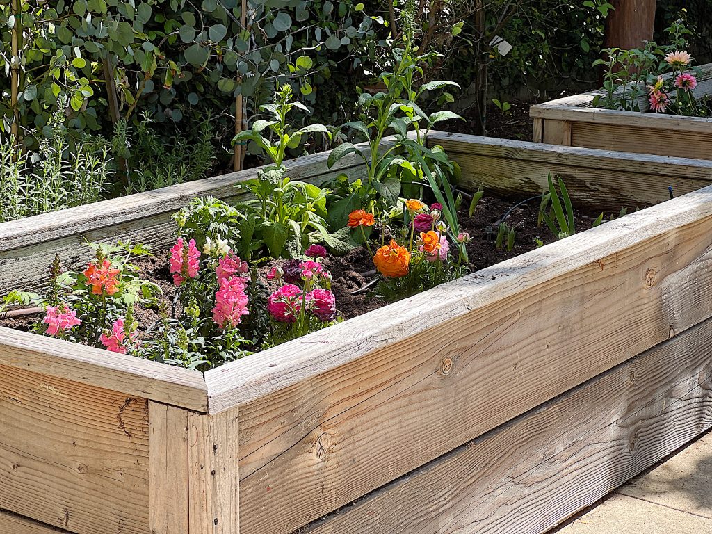 A-New-Way-to-Plant-a-Spring-Garden-1024x768