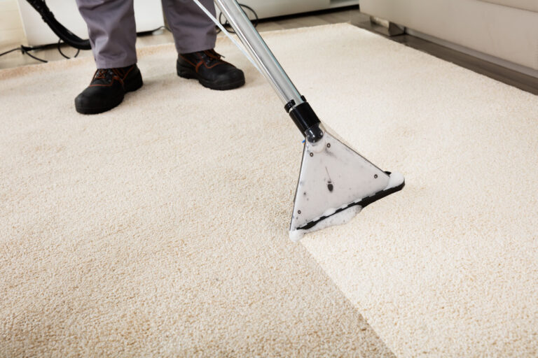 Carpet Cleaning Services in Dehradun: Keep Your Home Fresh and Hygienic