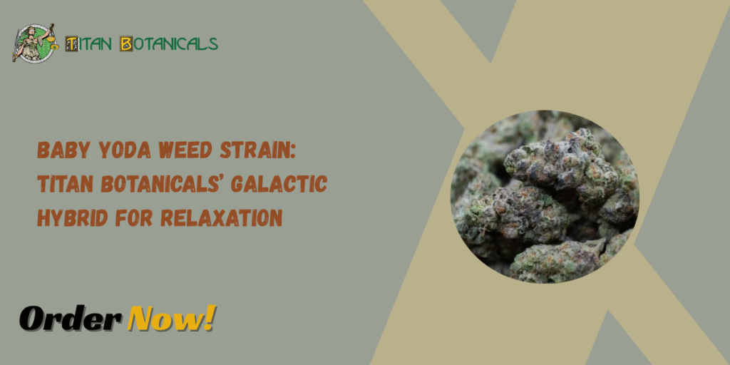 Baby Yoda Weed Strain