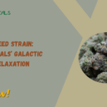 Baby Yoda Weed Strain