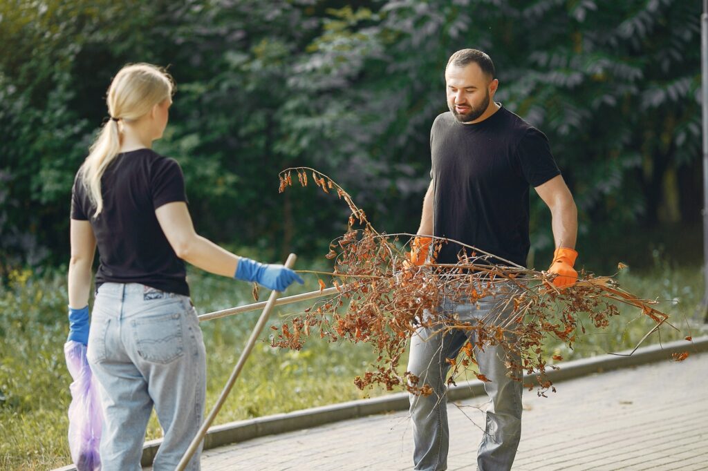 Backyard Cleaning Services
