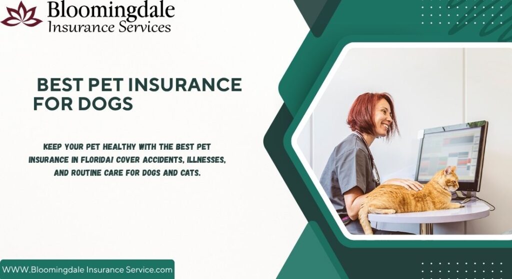 Best Pet Insurance for Dogs