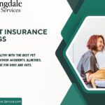 Best Pet Insurance for Dogs