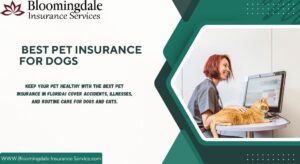 Best Pet Insurance for Dogs