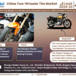 China Two-Wheeler Tire Market Research Report Forecast (2024-2030)