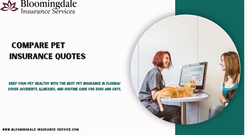 Compare Pet Insurance Quotes