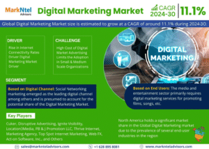 Digital Marketing Market 13