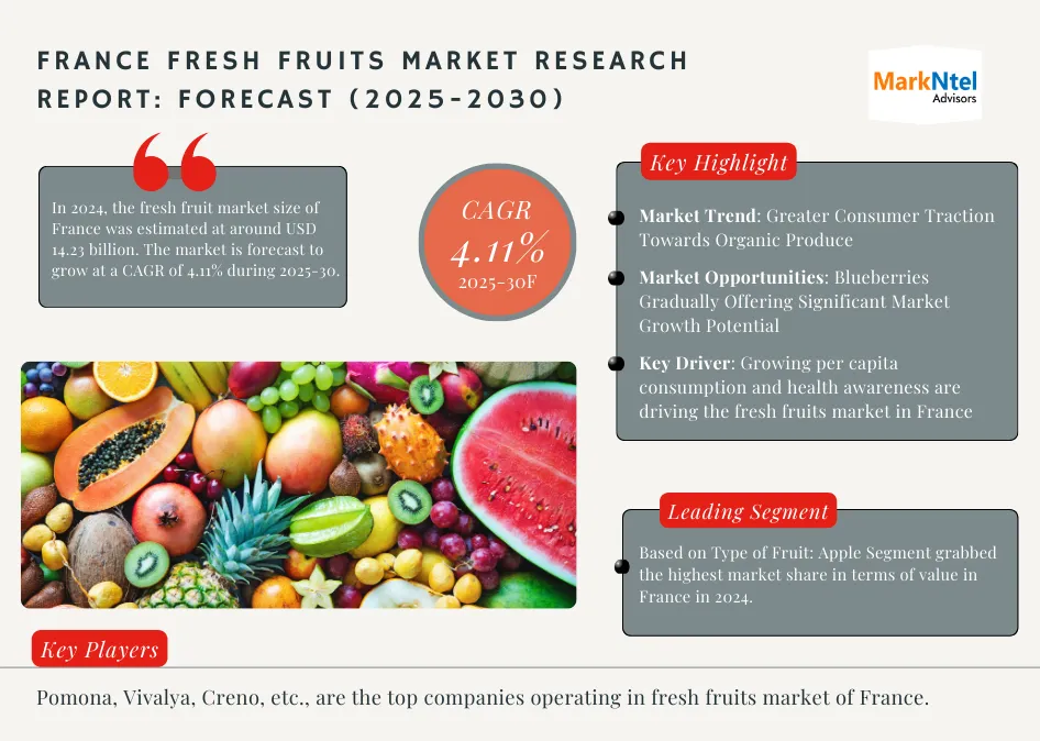 France Fresh Fruits Market Research Report Forecast (2025-2030)