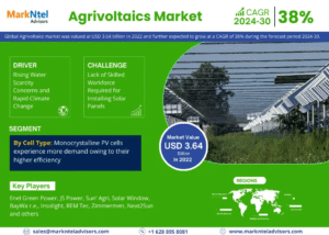 Global Agrivoltaics Market Research Report Forecast (2025-2030)