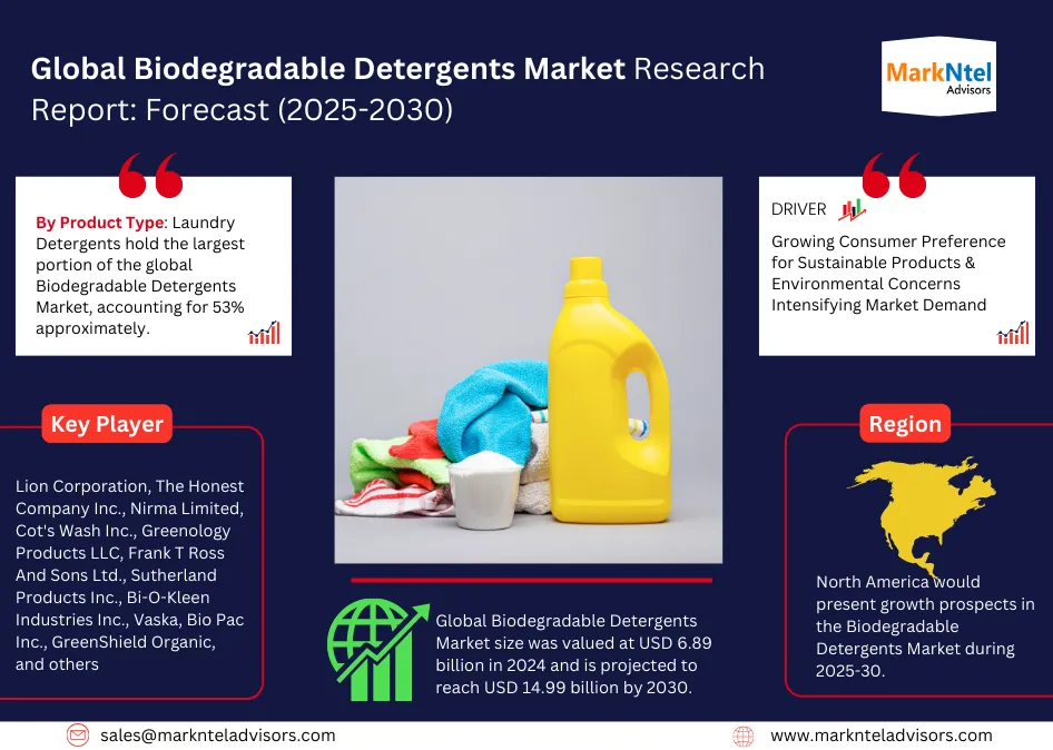 Global Biodegradable Detergents Market Research Report Forecast (2025-2030)