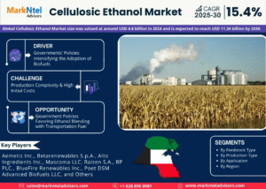 Global Cellulosic Ethanol Market Research Report Forecast (2025-2030)
