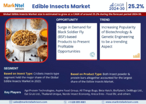 Global Edible Insects Market Research Report Forecast (2024-2030)