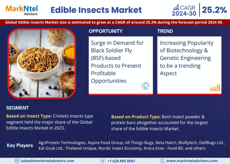 Global Edible Insects Market Research Report Forecast (2024-2030)