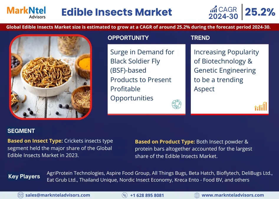 Global Edible Insects Market Research Report Forecast (2024-2030)