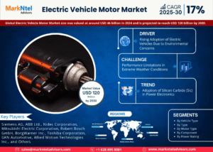Global Electric Vehicle Motor Market Research Report Forecast (2025-2030)