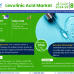 Global Levulinic Acid Market Research Report Forecast (2024-2029)