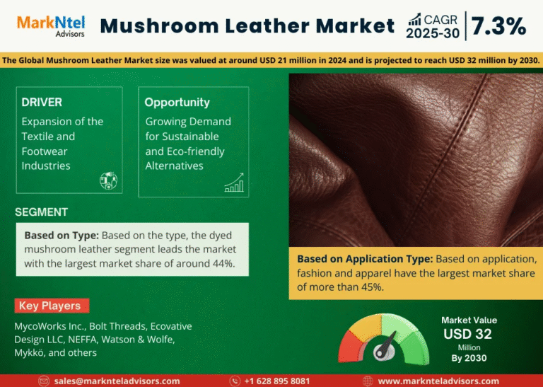 Global Mushroom Leather Market Research Report Forecast (2025-2030)