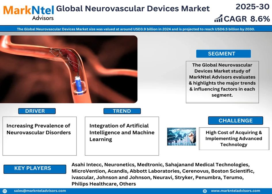 Global Neurovascular Devices Market Research Report Forecast (2025-2030)
