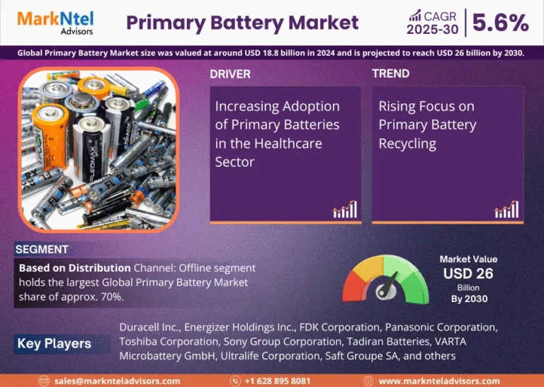 Global Primary Battery Market Research Report Forecast (2025-2030)