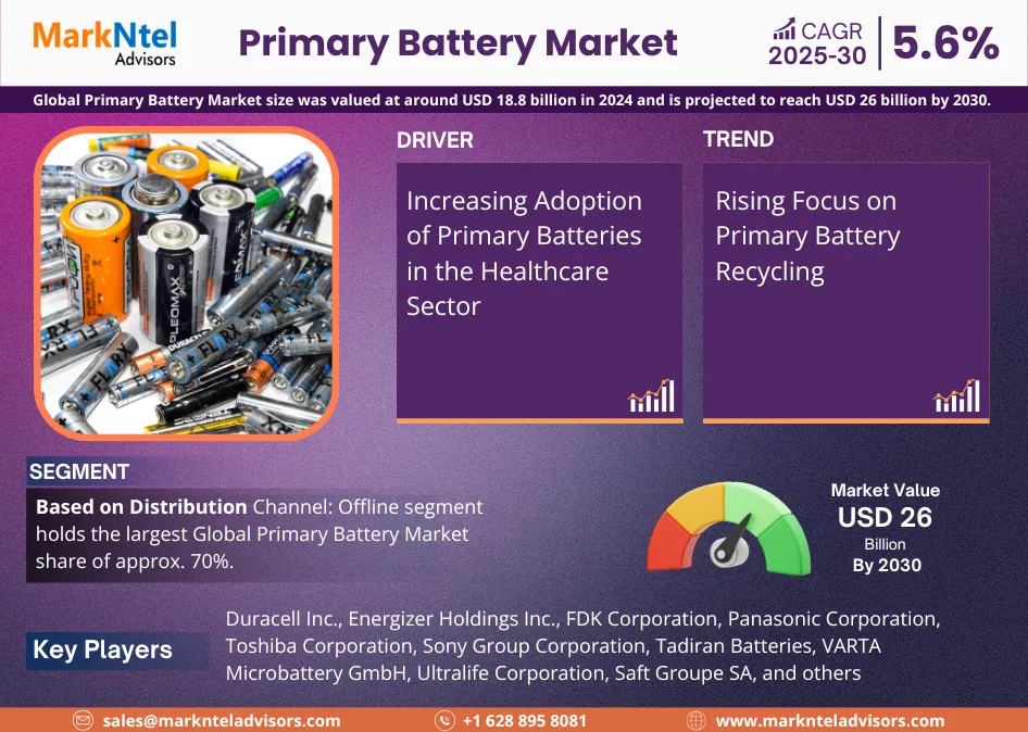 Global Primary Battery Market Research Report Forecast (2025-2030)