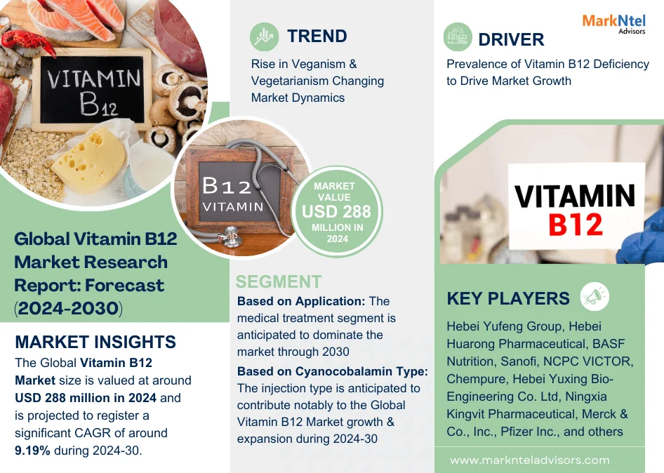 Global Vitamin B12 Market Research Report Forecast (2024-2030)