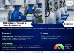 Global Water Pumps in Chemical Market Research Report Forecast (2025-2030)