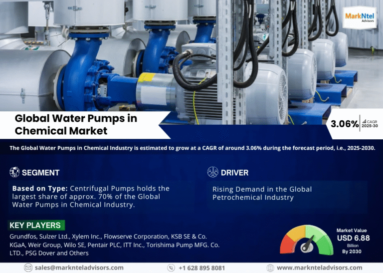 Global Water Pumps in Chemical Market Research Report Forecast (2025-2030)