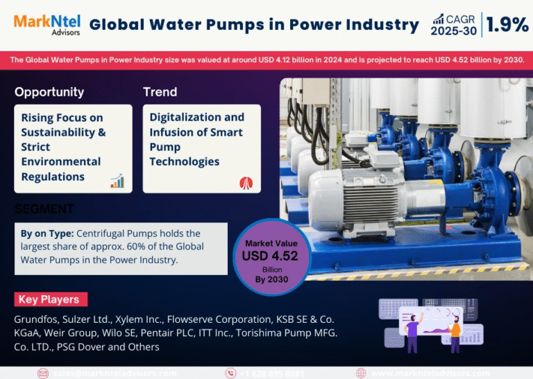 Global Water Pumps in Power Industry Research Report Forecast (2025-2030)