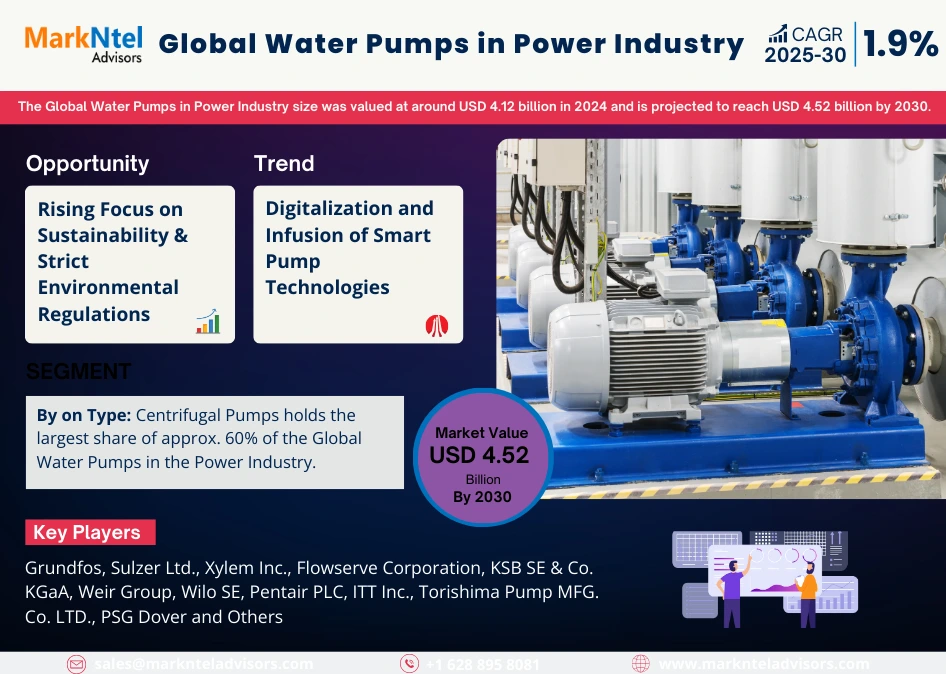 Global Water Pumps in Power Industry Research Report Forecast (2025-2030)