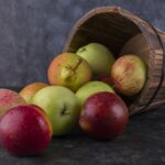 Gravenstein Apples