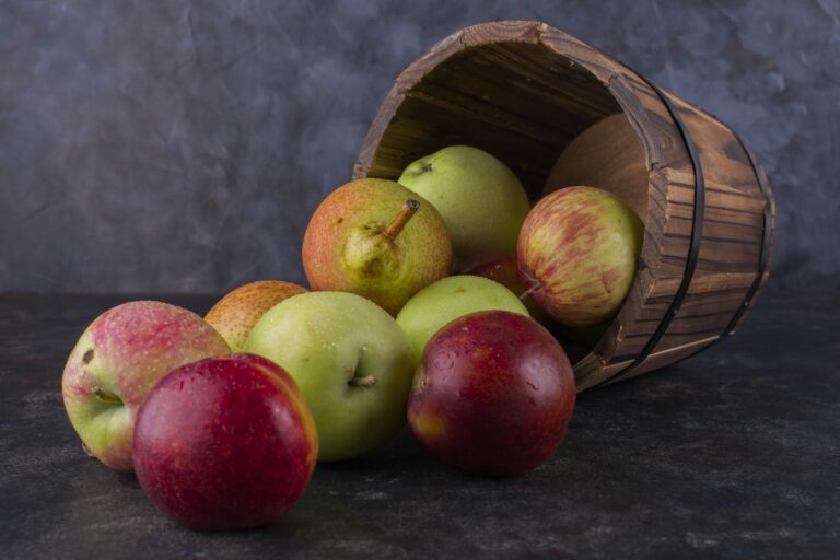Gravenstein Apples