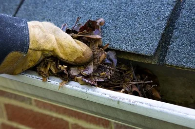 Gutter Cleaning Springvale