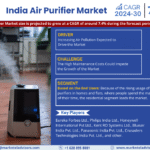 India Air Purifier Market Research Report Forecast (2024-2030)