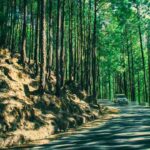 Lansdowne travel guide, Uttarakhand tourism, hidden gems India