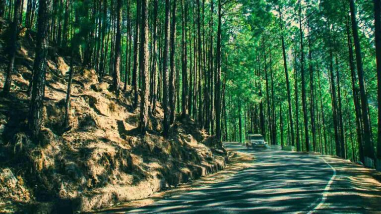 Lansdowne travel guide, Uttarakhand tourism, hidden gems India