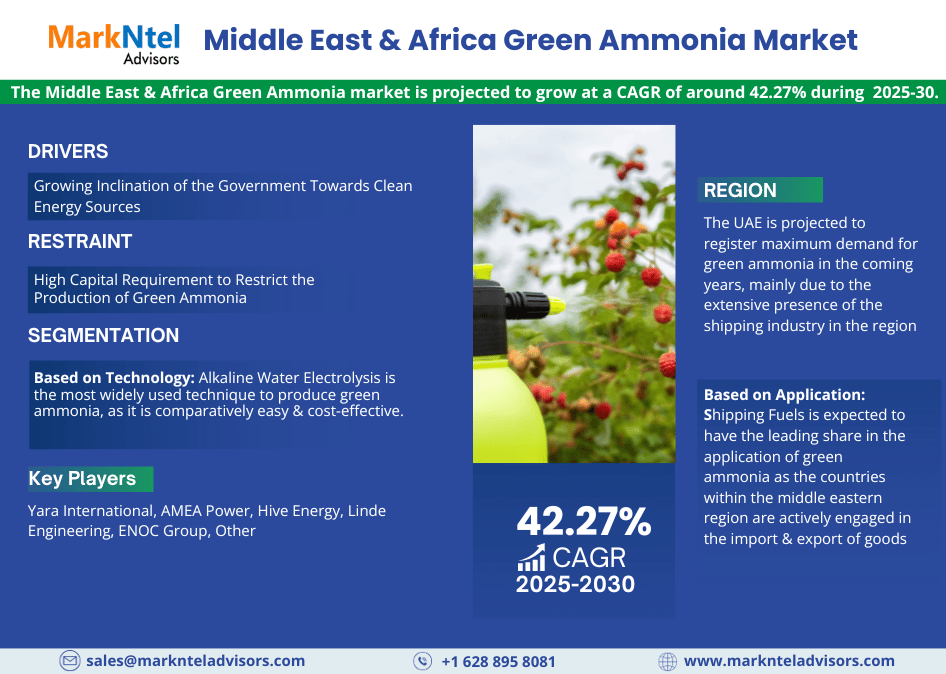 Middle_East_Africa_Green_Ammonia (1)