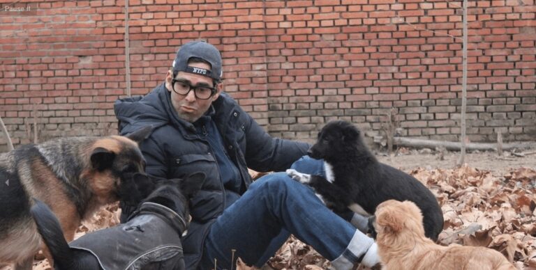 No Dogs Left Behind: A Voice for the Voiceless