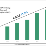 Non-Small Cell Lung Cancer Market