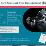 North America Lab Grown Diamonds Market Research Report Forecast (2024-2030)
