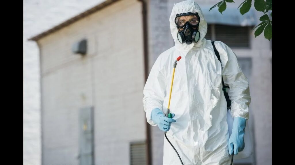 Pest Control Islamabad