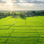 Plot for Sale in Bangalore