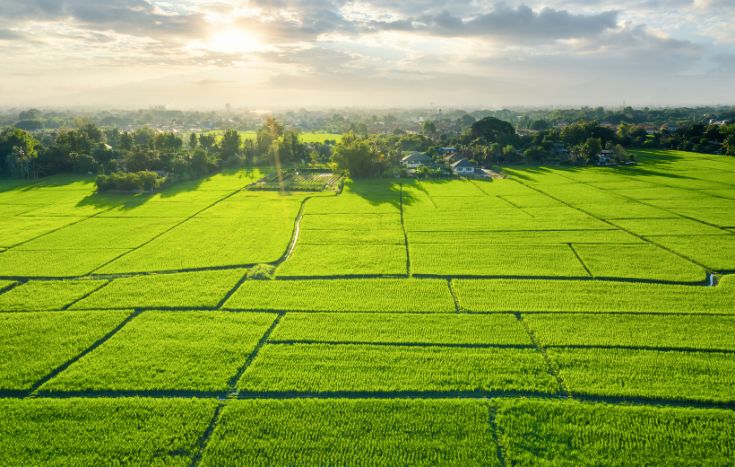 Plot for Sale in Bangalore